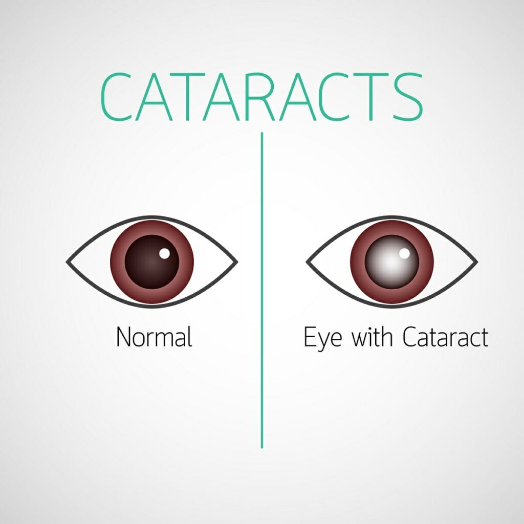 Facts to Know During
